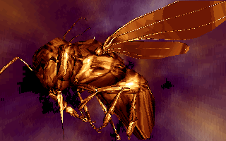 E2